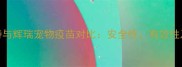 权威英威特与辉瑞宠物疫苗对比安全性有效性及接种指南