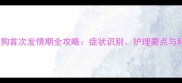 12个月狗狗首次发情期全攻略症状识别护理要点与科学预防