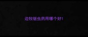 边牧驱虫药用哪个好