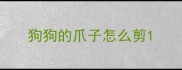 狗狗的爪子怎么剪
