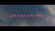 巴哥犬自己会将小狗吗