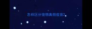 怎样区分宠物真假疫苗