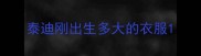 泰迪刚出生多大的衣服