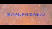 嘉兴给边牧洗澡的地方