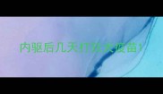 内驱后几天打狂犬疫苗