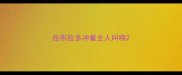 拉布拉多冲着主人叫唤
