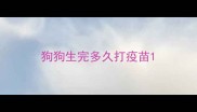 狗狗生完多久打疫苗