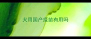 犬用国产疫苗有用吗
