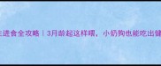 幼犬自主进食全攻略3月龄起这样喂小奶狗也能吃出健壮体格