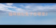 猫咪模拟兔子在哪里