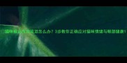 猫咪被训斥后流泪怎么办3步教你正确应对猫咪情绪与眼部健康
