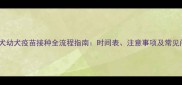 边境牧羊犬幼犬疫苗接种全流程指南时间表注意事项及常见问题解答