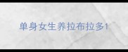 单身女生养拉布拉多