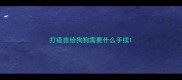 打疫苗给狗狗需要什么手续