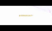 金毛驱虫拉出虫子