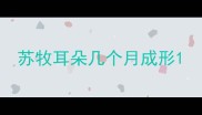 苏牧耳朵几个月成形
