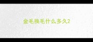 金毛换毛什么多久