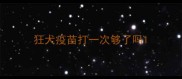 狂犬疫苗打一次够了吗