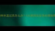 猫咪体温过高怎么办5大原因及应急处理指南