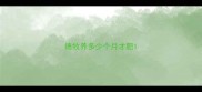 德牧养多少个月才肥