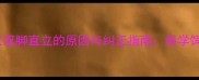 金毛犬双脚直立的原因与纠正指南科学饲养全