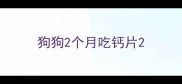 狗狗2个月吃钙片