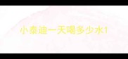 小泰迪一天喝多少水