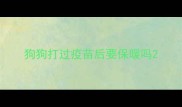 狗狗打过疫苗后要保暖吗