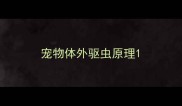 宠物体外驱虫原理