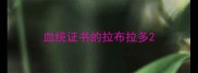 血统证书的拉布拉多