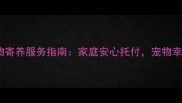 北京专业宠物寄养服务指南家庭安心托付宠物幸福度假攻略
