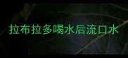 拉布拉多喝水后流口水