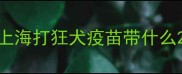 上海打狂犬疫苗带什么