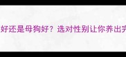 哈士奇公狗好还是母狗好选对性别让你养出完美伴侣犬