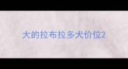 大的拉布拉多犬价位