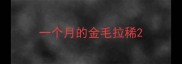 一个月的金毛拉稀
