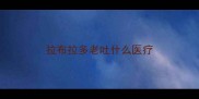 拉布拉多老吐什么医疗