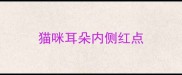 猫咪耳朵内侧红点