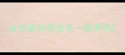 金毛能和母金毛一起养吗