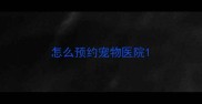 怎么预约宠物医院