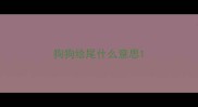 狗狗给尾什么意思