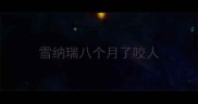 雪纳瑞八个月了咬人
