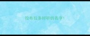 拉布拉多好听的名字