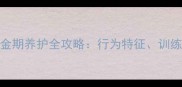 哈士奇8个月大黄金期养护全攻略行为特征训练要点与营养方案