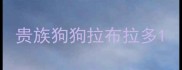 贵族狗狗拉布拉多