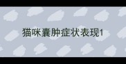 猫咪囊肿症状表现