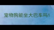 宠物狗能坐大巴车吗