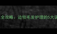 边境牧羊犬夏季剪毛全攻略边牧毛发护理的5大误区与科学养护指南