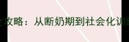 边境牧羊犬2月龄养护全攻略从断奶期到社会化训练的黄金阶段管理指南