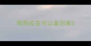 狗狗疫苗可以拿回家